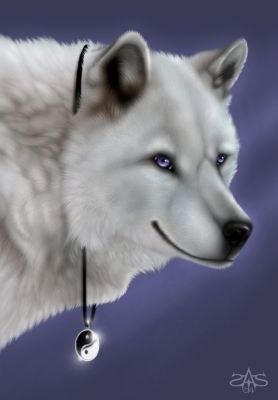Portrait Loup